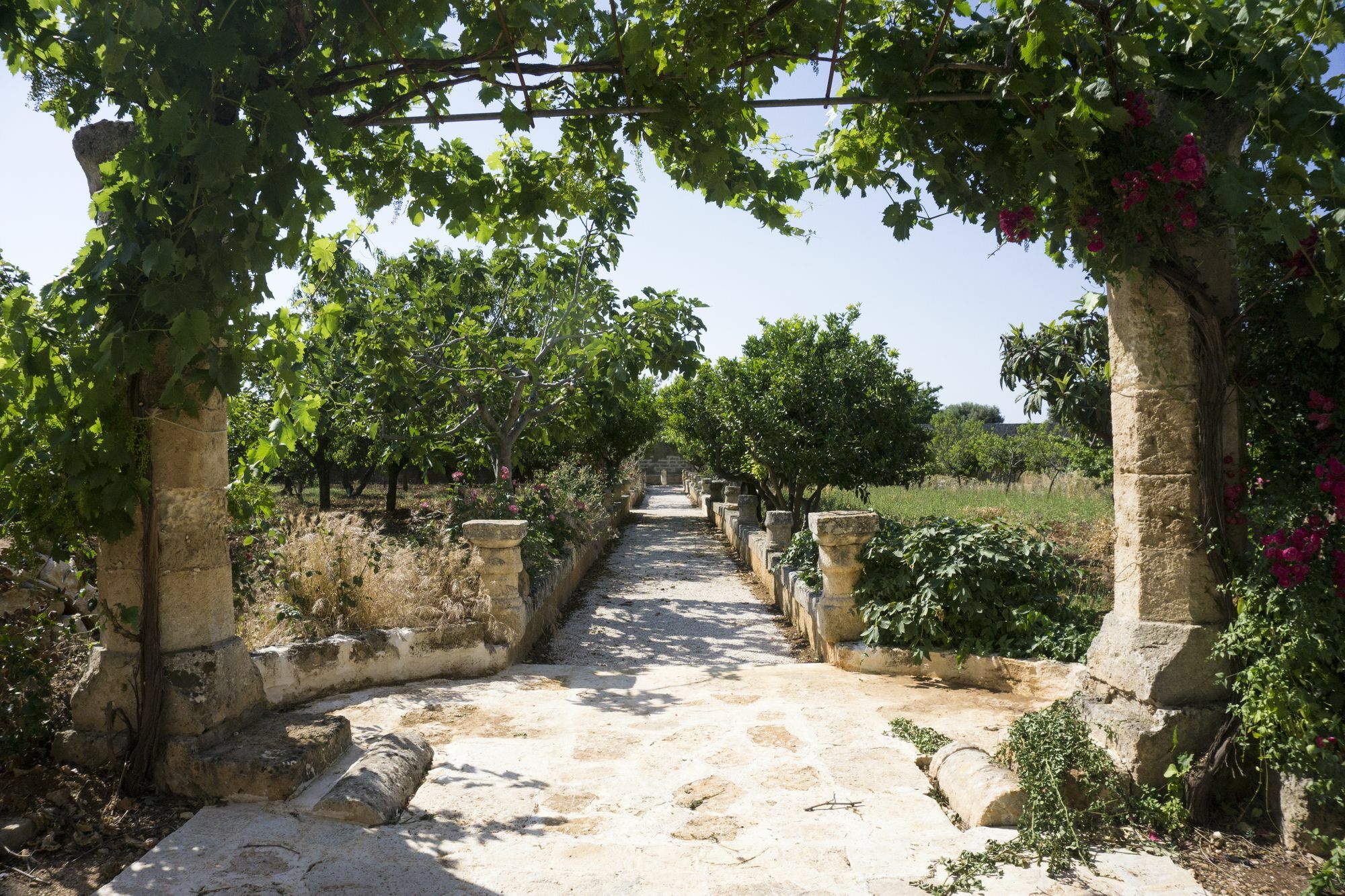Masseria Capece Pezze Di Greco Exteriör bild